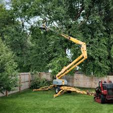 Best Tree Mulching  in Livingston, CA