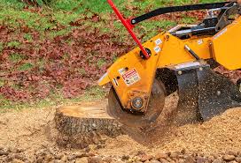 Best Aeration Services  in Livingston, CA